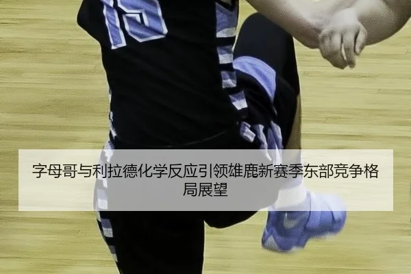 zi-mu-ge-yu-li-la-de-hua-xue-fan-ying-yin-ling-xiong-lu-xin-sai-ji-dong-bu-jing-zheng-ge-ju-zhan-wang-2-379.jpg